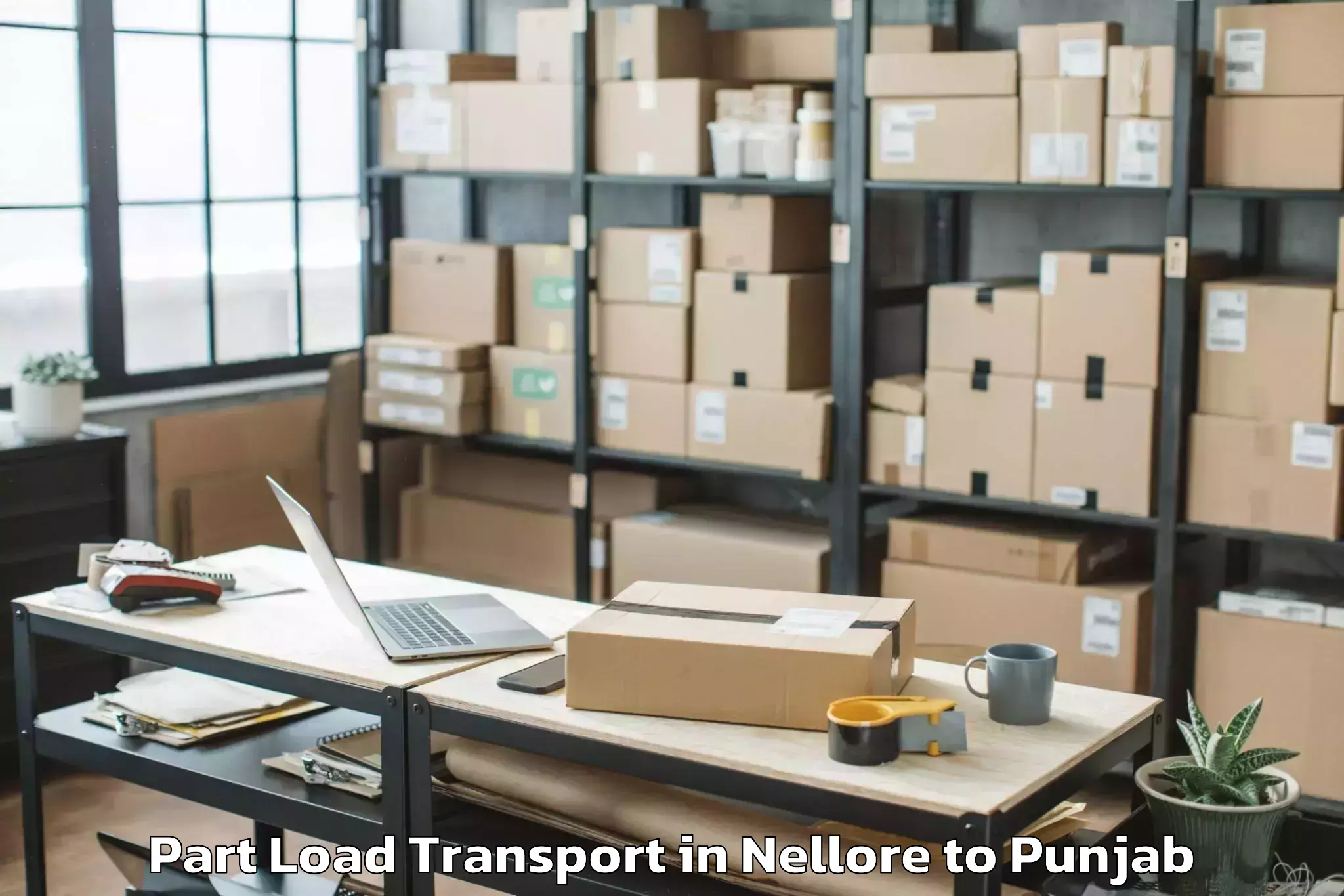 Professional Nellore to Gna University Phagwara Part Load Transport